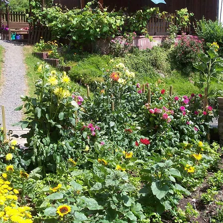 Appartement Mia Casa